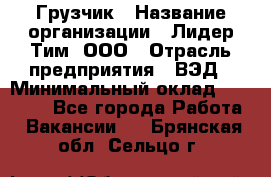 Грузчик › Название организации ­ Лидер Тим, ООО › Отрасль предприятия ­ ВЭД › Минимальный оклад ­ 32 000 - Все города Работа » Вакансии   . Брянская обл.,Сельцо г.